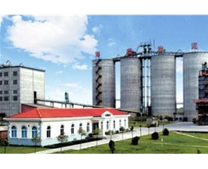 蕪湖某水泥有點(diǎn)公司